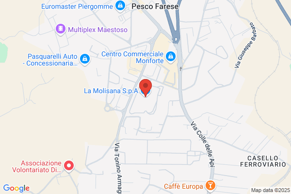 La Molisana Industrie Alimentari S.P.A.