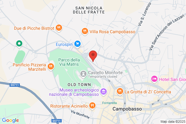 Natilli francesco