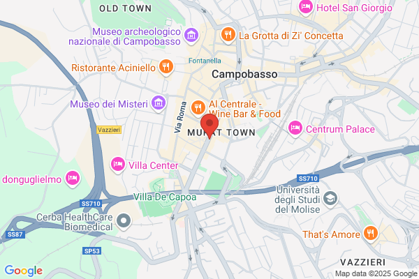 Mastrantonio rina (Dr.)