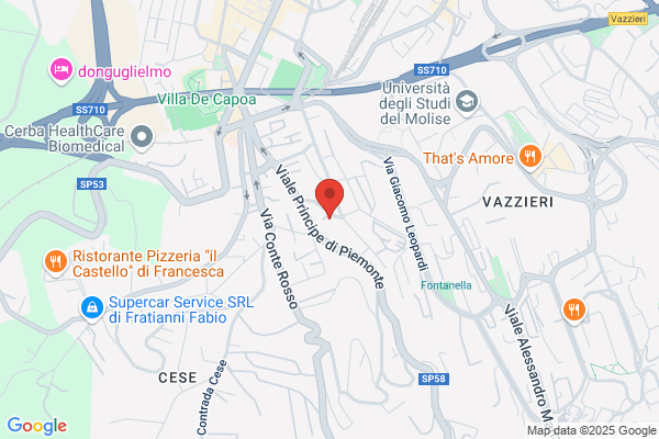 Hepp Service Srl Di Carlone. Nerilli E C.