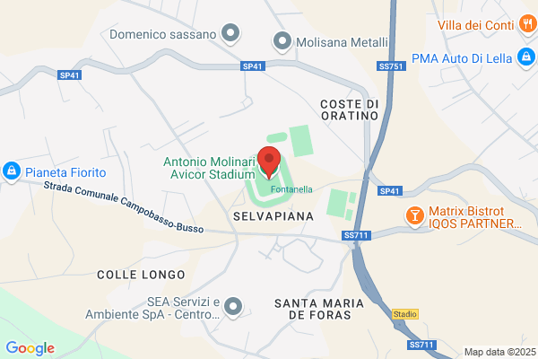Lairone Bianco Di Cornacchione Varanese Giuseppe Luigi