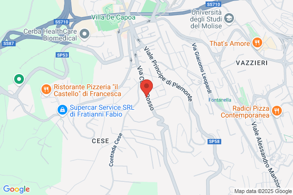 Logopedia Di Niro Urania E C. Sas