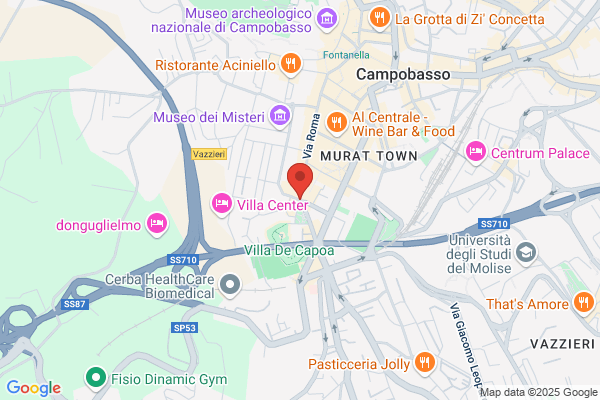 Molise Gestioni Srl