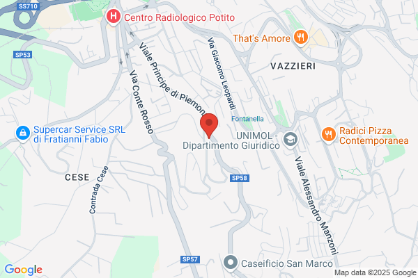 Costy Tartufi S.r.l.