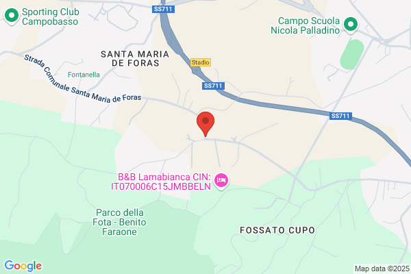 Madonna giuseppe