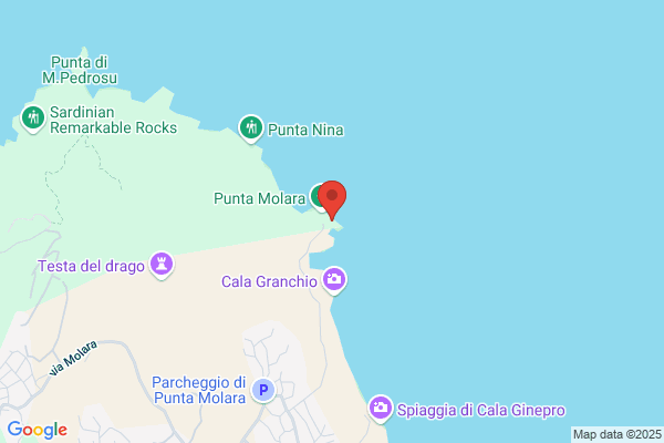 Punta Molara S.P.A.