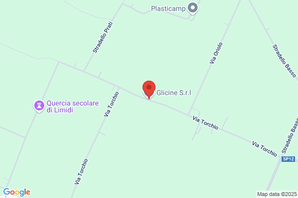 Glicine (S.R.L.)