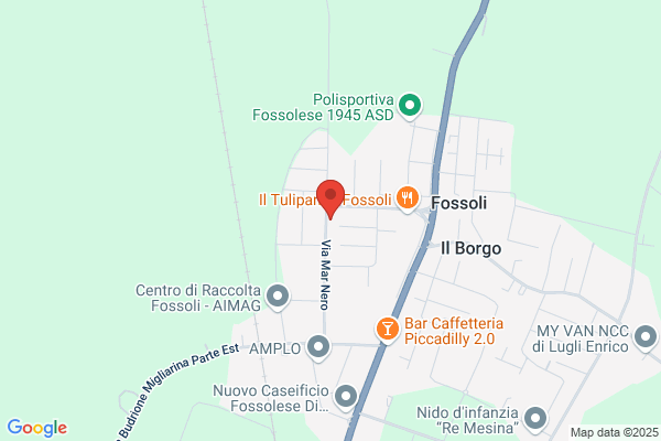 Miselli claudio