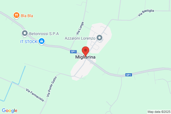 La Migliarina S.R.L.