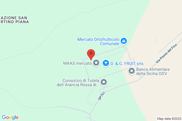 Rimas Carrelli Elevatori