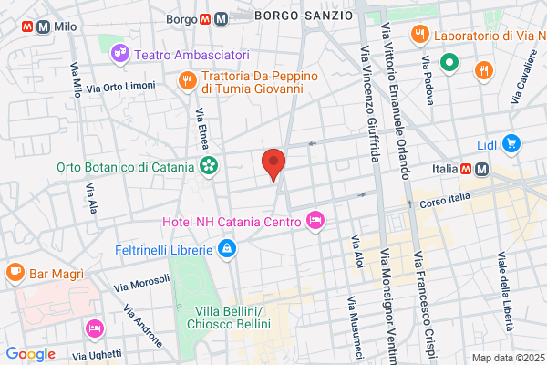 Palmeri renato (Dr.)