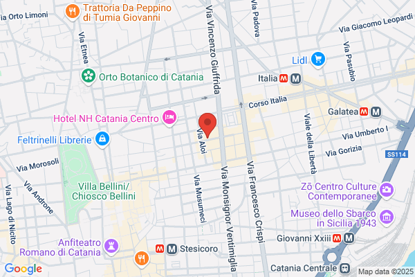 Sipione carlotta (Dr.)