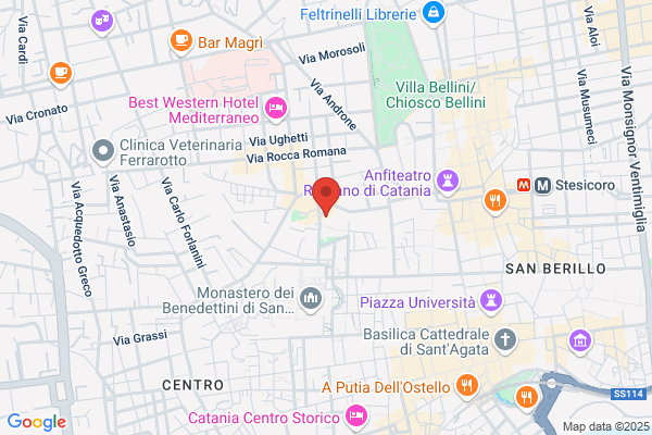 Universita Degli Studi/Clinica Ostetrica E Ginecologica