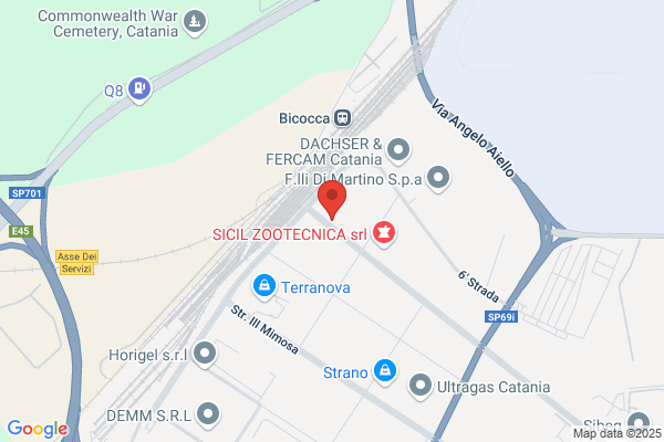 Savino Del Bene S.p.a. Catania