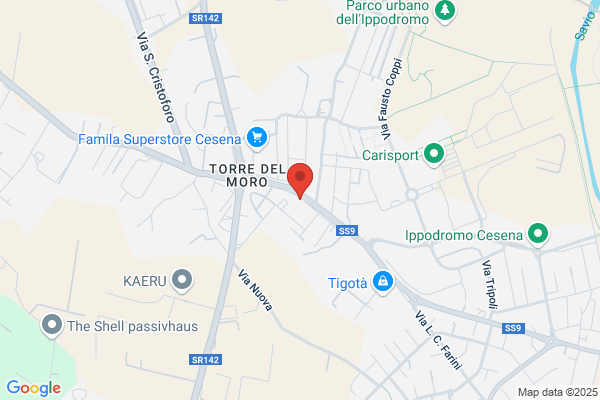 Medri massimo (Geom.)