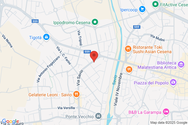 Fioreria Del Corso Di Fusaroli Liliana