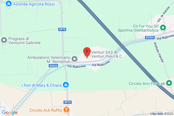 Venturi settimio