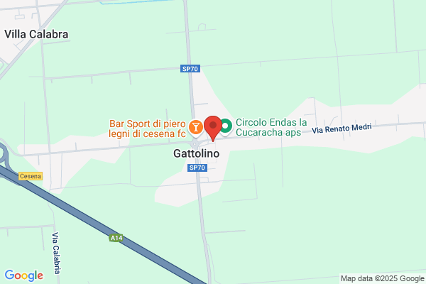 Scuola Elementare Gattolino