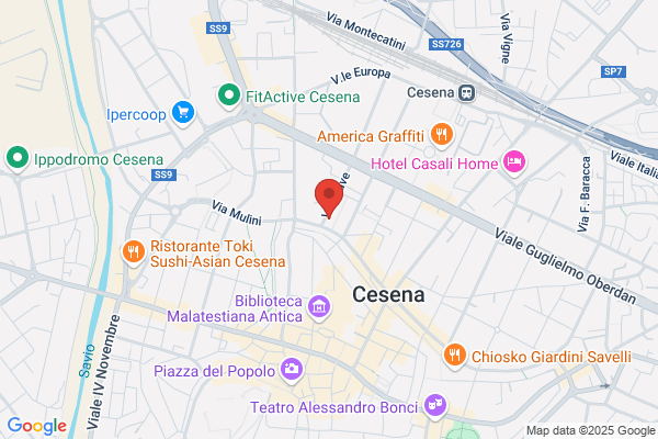 Visani Assicurazioni (S.R.L.)