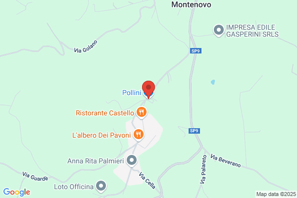 Pollini vincenzo