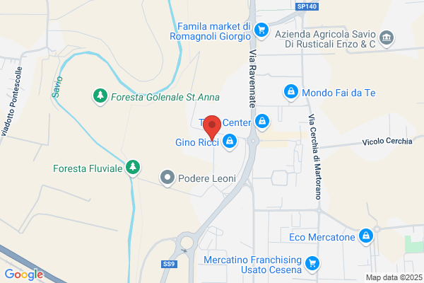 Palestra Centro Sportivo Citta Di Cesena S.R.L.