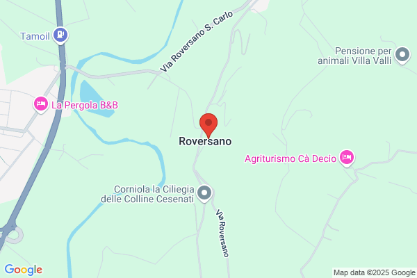 Presepi eugenio (Rag.)