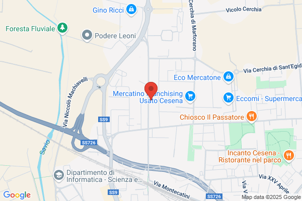 Romini rino