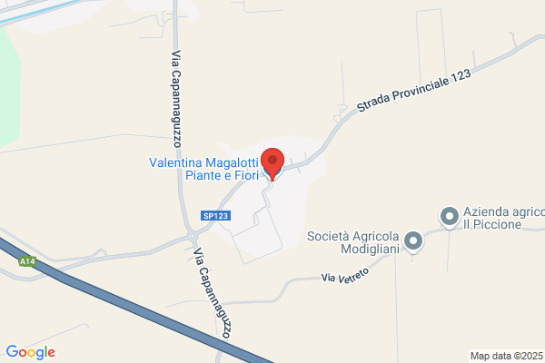 Magalotti alieto