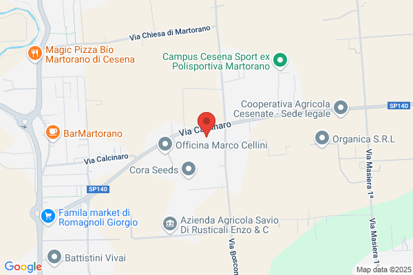 Merloni Fratelli (S.N.C.)