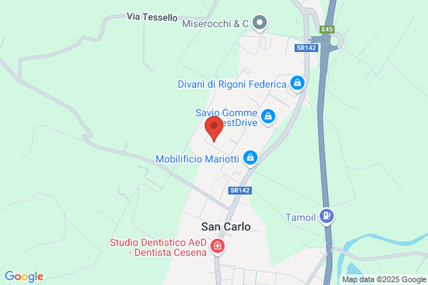 Servicefest Cesena