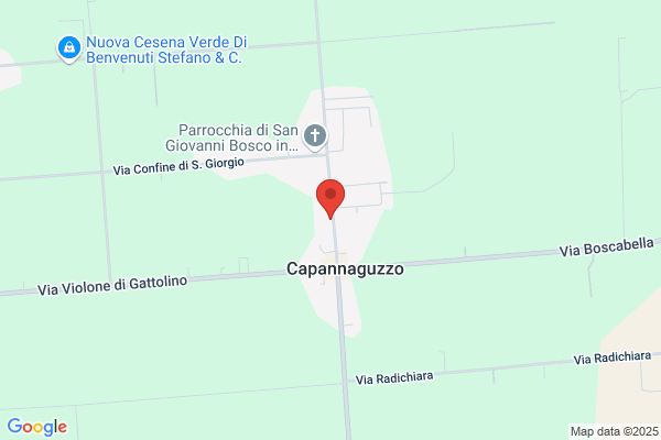 Falegnameria Benvenuti Zelio & C. (S.N.C.)