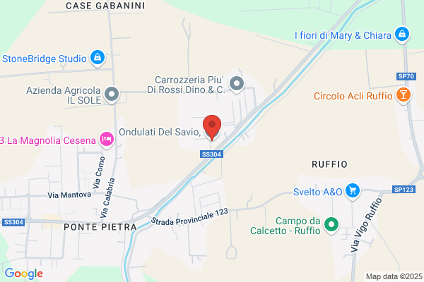 Ondulati Del Savio (S.R.L.)