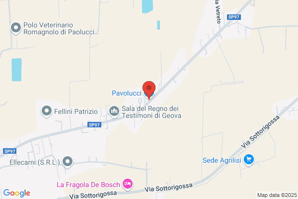 Pavolucci luciano