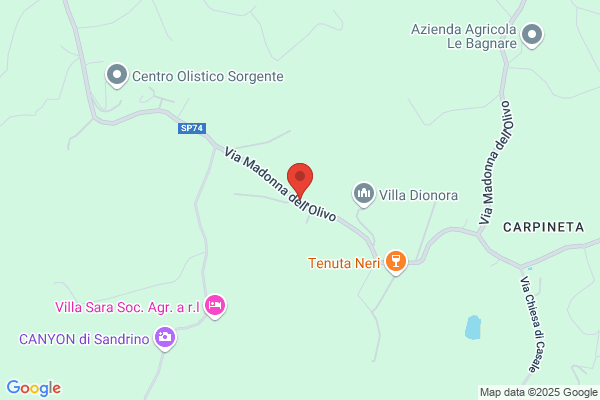 Masini valentino