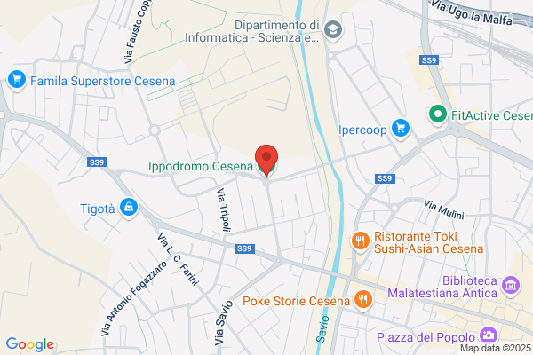 Societacesenate Corse Al Trotto (S.P.A.)