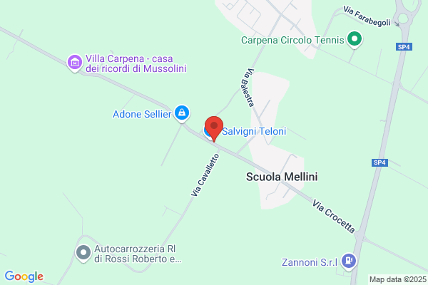 Salvigni idiana