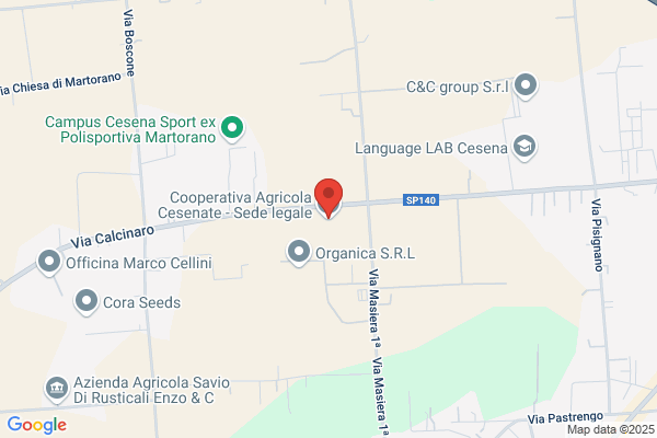 Localnet S.R.L.