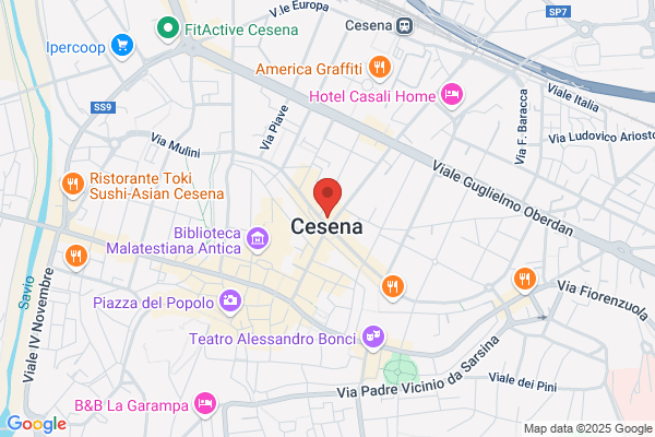 Co.M.Ce. Compagnia Montaggi Cesena Spa