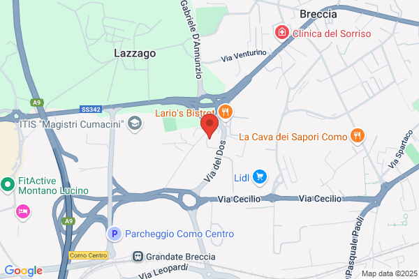 Nuova Palestra Lario (S.R.L.)