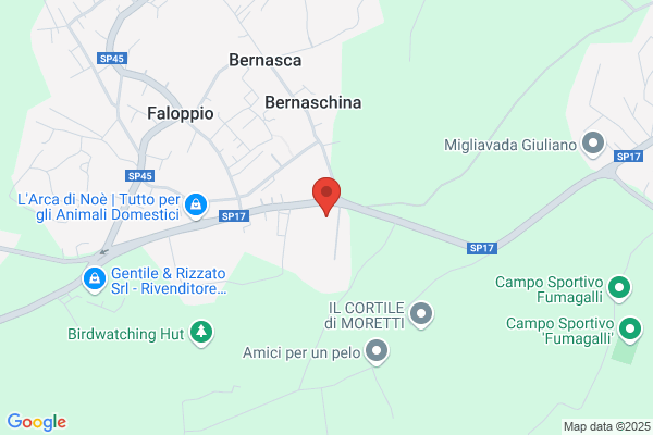Prima Comunicazione Sas