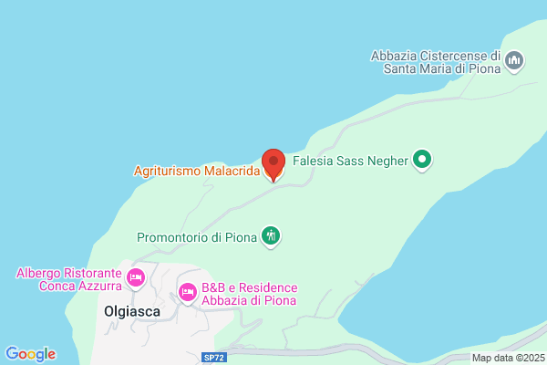 Malacrida giorgio