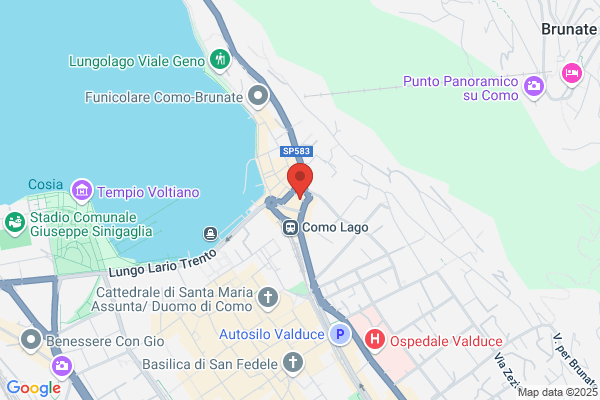 Lortolano
