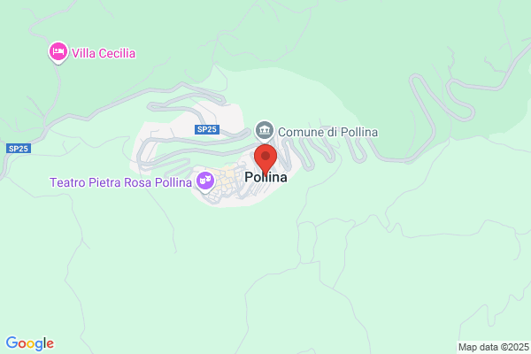 Pollina carlo
