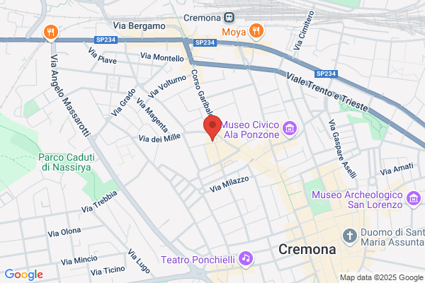 Business Network Service Srl