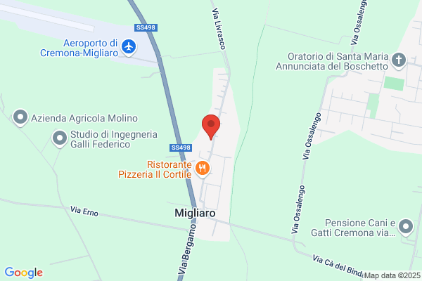 Picazzi Pietro