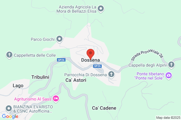Dossena Michele