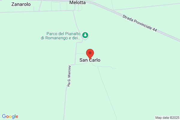 San Carlo S.R.L.,