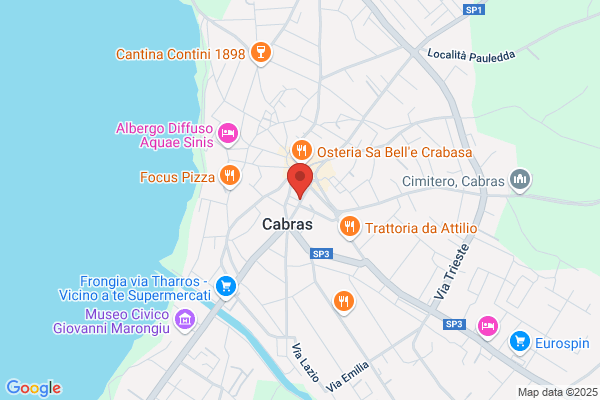 Muscas adriana (Dr.)