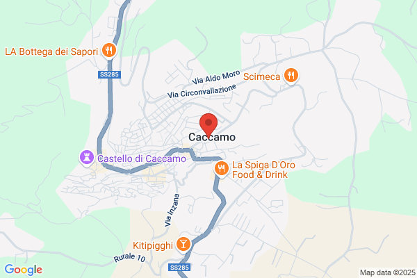 Puccio michele
