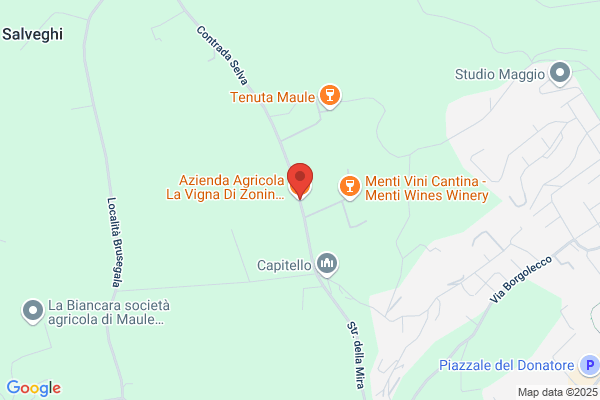 La Vigna Di Saltini Maurizio E C. S.A.S.